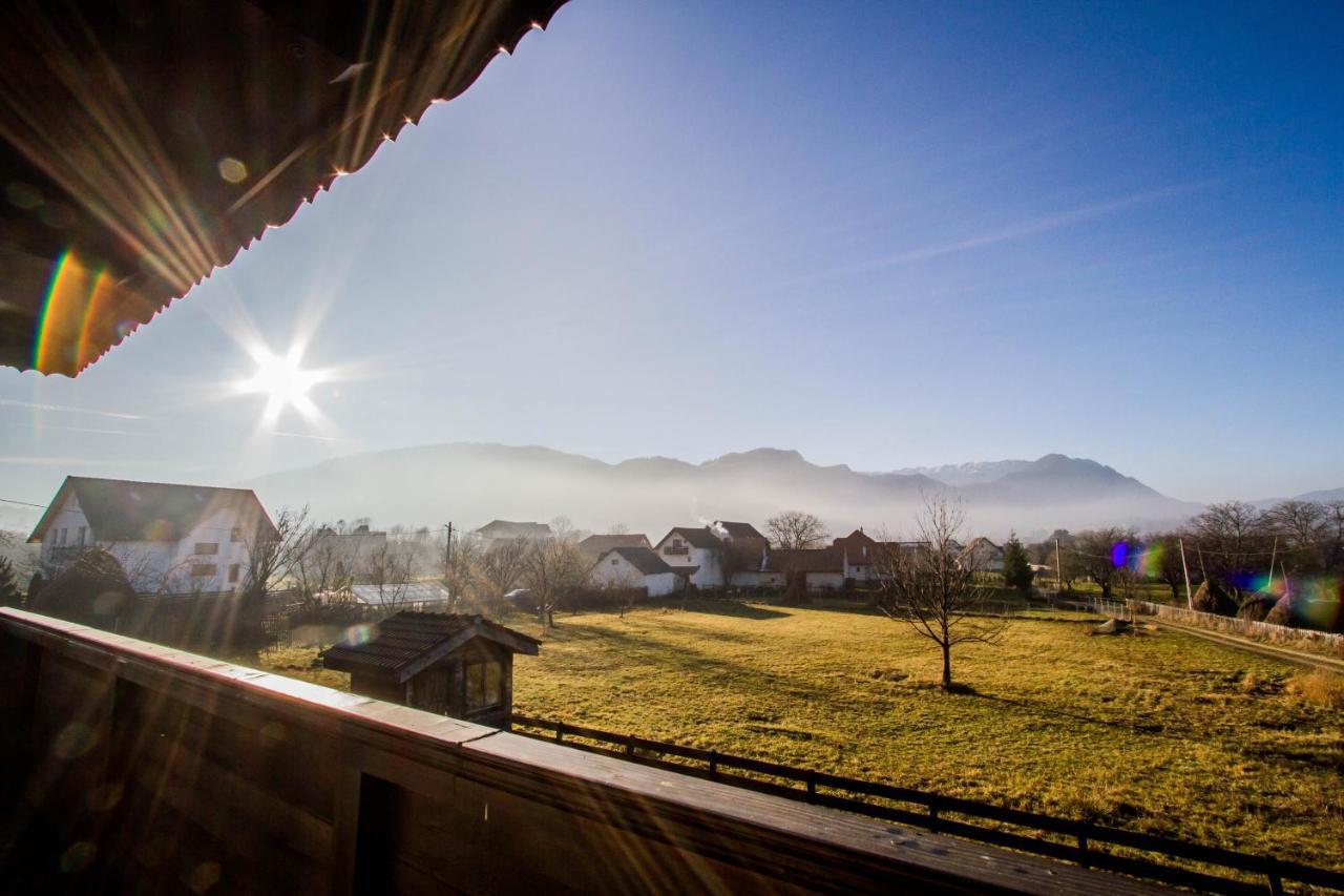Affittacamere Siana Bran (Brasov)